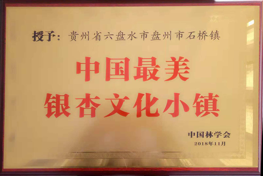 中国最美银杏文化小镇