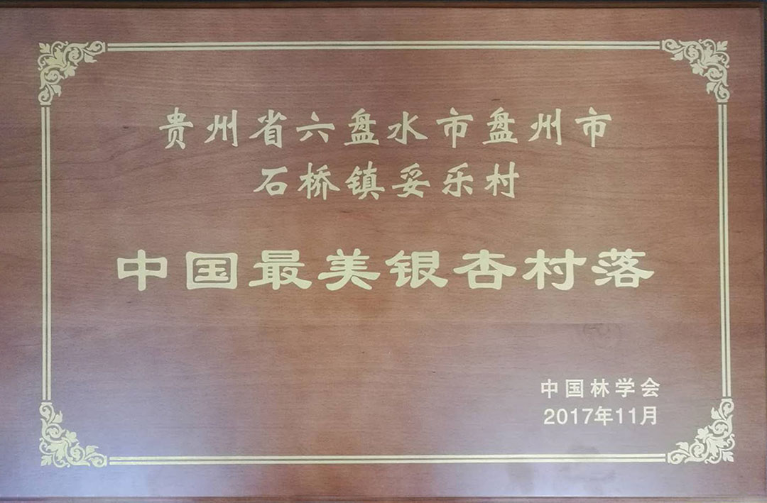 中国最美银杏村落