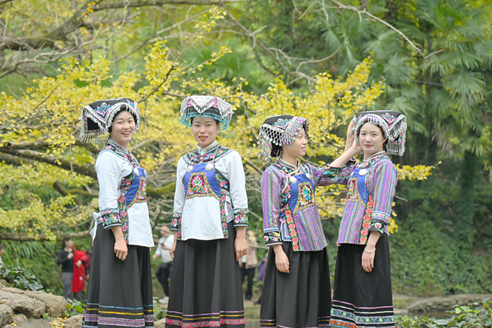 贵州盘州：邂逅千年银杏 共赴金色之约