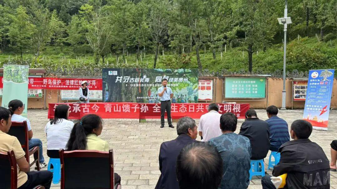 8·15全国生态日|“共守古树长青 同筑绿美贵州”古树名木保护主题宣传活动在妥乐举行